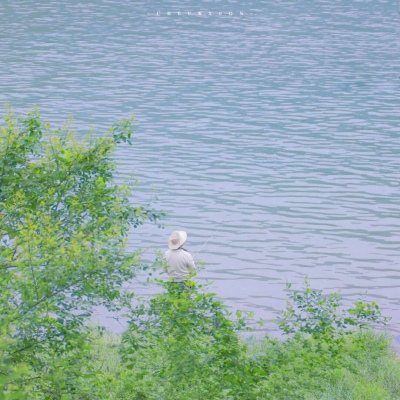 夏日唯美風景頭像清爽有意境