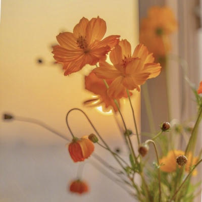 风景简单唯美治愈系头像