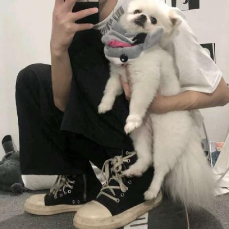 男生与狗狗头像