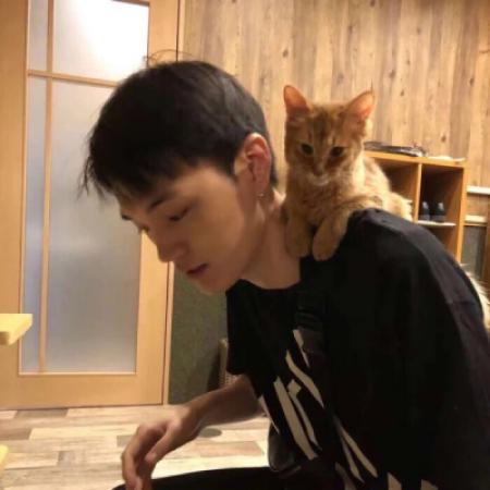 男生与猫的头像