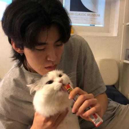 男生与猫的头像