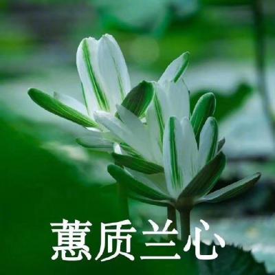 中老年人微信头像 个性头像图片