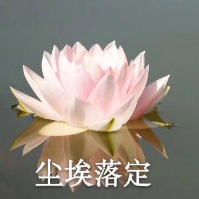 中老年人微信头像 个性头像图片