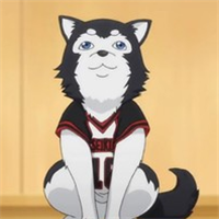 超萌可爱的哲也二号头像图片