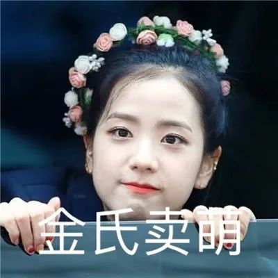 blackpink沙雕图片带字头像