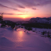 好看的唯美自然风光头像图片