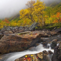 好看的唯美自然风光头像图片
