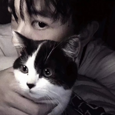 男生抱猫的情侣头像图片