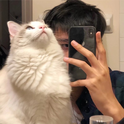 男生抱白猫情侣头像图片