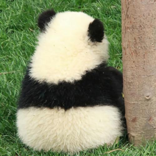 可爱熊猫头像图片
