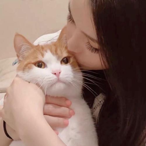 高质量情侣头像真人单人一男一女