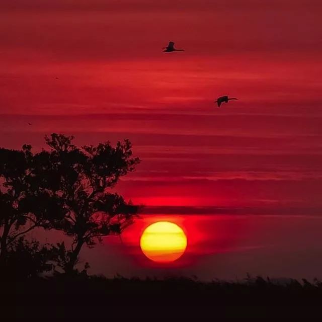 象征美好的阳光明媚好运头像图片