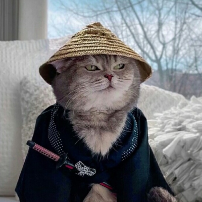 高清时尚的2021新款头像小动物头像图片