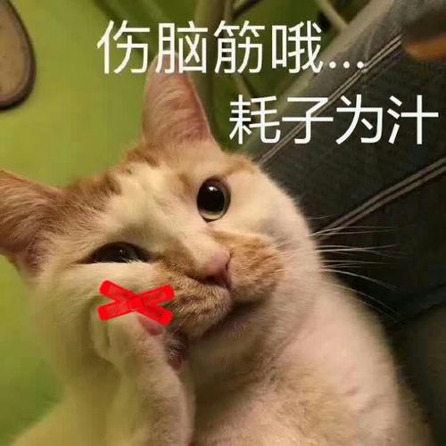 高清呆萌可爱的憨憨沙雕头像图片