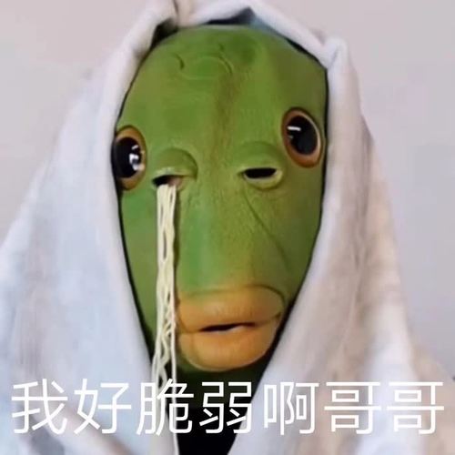 高清呆萌可爱的憨憨沙雕头像图片