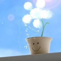 小清新静物图片头像大全