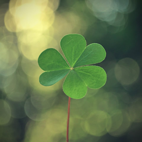 2021好看又耐看的头像图片