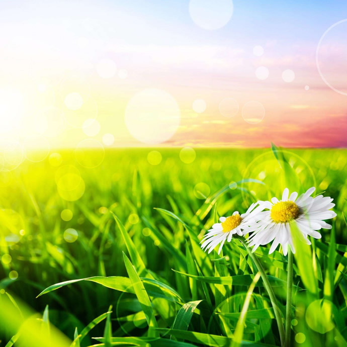 2021好看又耐看的头像图片