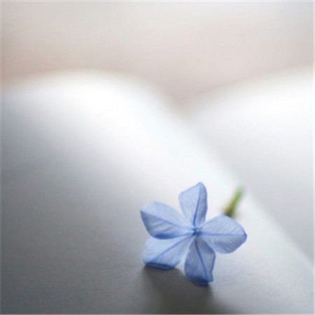 2021最简单的头像干净高清