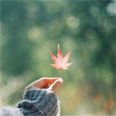 2021最简单的头像干净高清