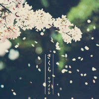 有樱花唯美意境图片头像