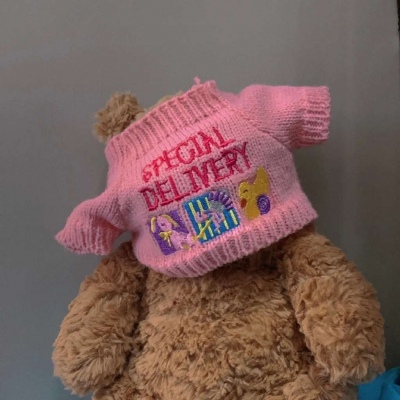 高清好看的毛绒熊头像泰迪小熊图片