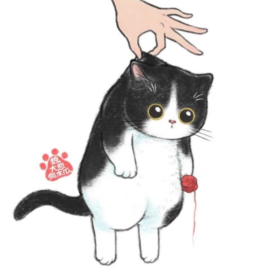 高清可爱手拎猫头像图片