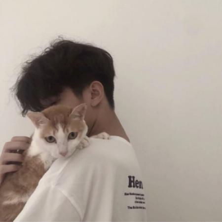高清帅气酷酷的猫咪头像男生图片