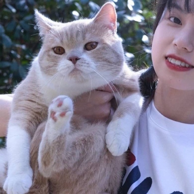 高清情头不是人另一半是宠物系列图片,情侣头像图片