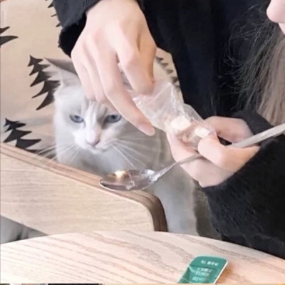 高清可爱另一半不是人的情侣头像图