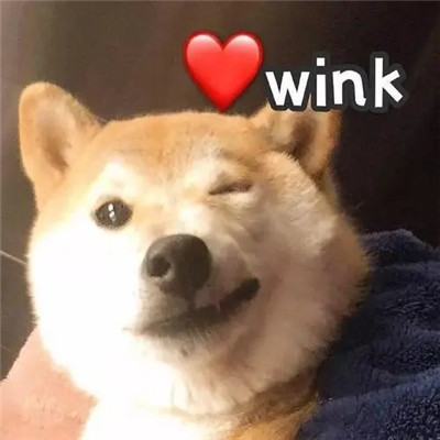 狗狗wink超级可爱的个性头像