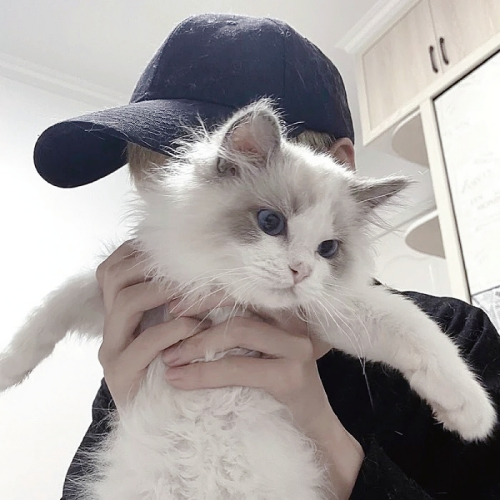 好看的帅哥头像真人