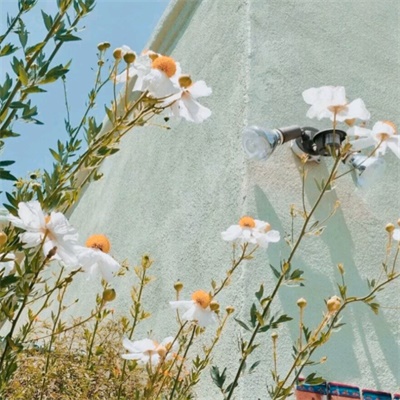 温柔浪漫风景图片头像