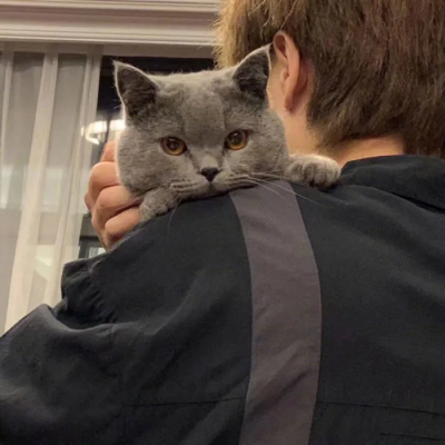 男网图头像真实高清帅气的今年最潮头像男生图片